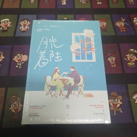 月光着陆