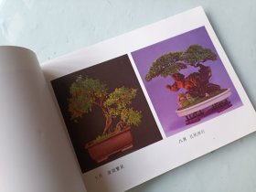 1988年 山东月历 年历 中堂画