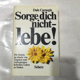 Dale Carnegie by  Sorge dich nicht-lebe！ 德语小说   精装   如何停止焦虑开始新生活