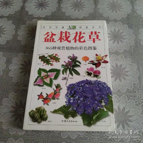 盆栽花草：365种观赏植物的彩色图鉴