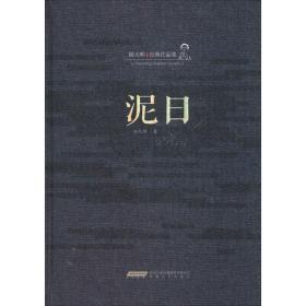 泥 中国现当代文学 陆天明  新华正版