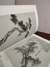 芥子园画传实用教材：山水（上下 合订本）