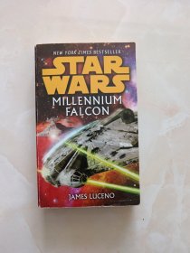 Millennium Falcon