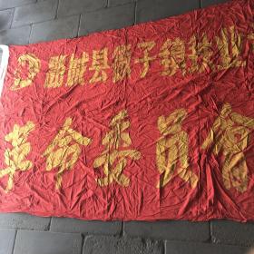 潞城县革命委员会旗