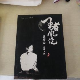 王者风范 王西安太极人生