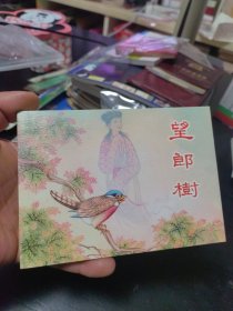 望郎树