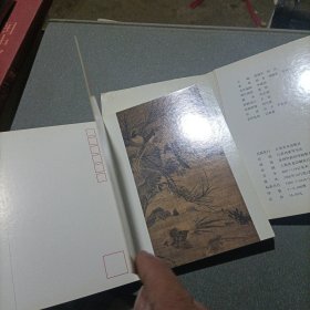 南京博物院珍藏古代花鸟画