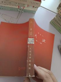 大波_第1部
