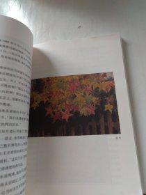 郁风散文精选