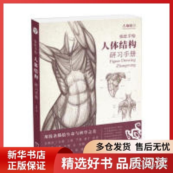 正版书籍张旺手绘人体结构研习手册（古斓斑最手绘）张旺9787539498942新华仓库多仓直发