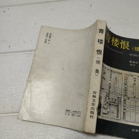 青楼恨 续集 中国之望乡【品看图】