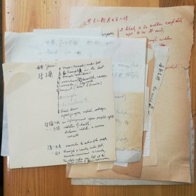 张-谷若（现代翻译家·北京大学·辅仁大学教授·经典译著《还乡》·《德伯家的苔丝》等） 墨迹手稿《蹂躏》一组·手稿散页·全部上图·未落款·WXYS·3·20·10（张谷若父女旧藏）