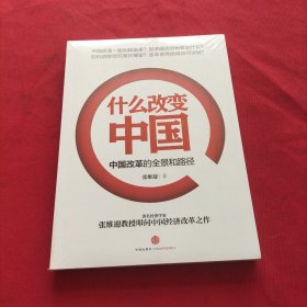 什么改变中国：中国改革的全景和路径