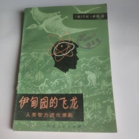 伊甸园的飞龙