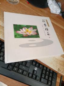 荷香释易 : 易经一百句
