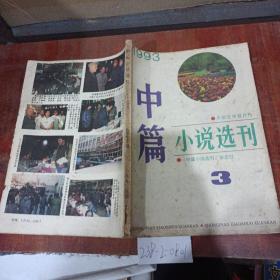 中篇小说选刊1993年第3期