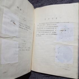 内蒙古地质实验1980(1)油印