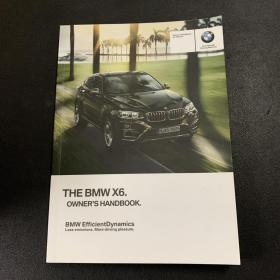 The BMW X6