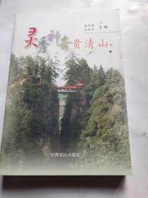 灵秀神奇贵清山