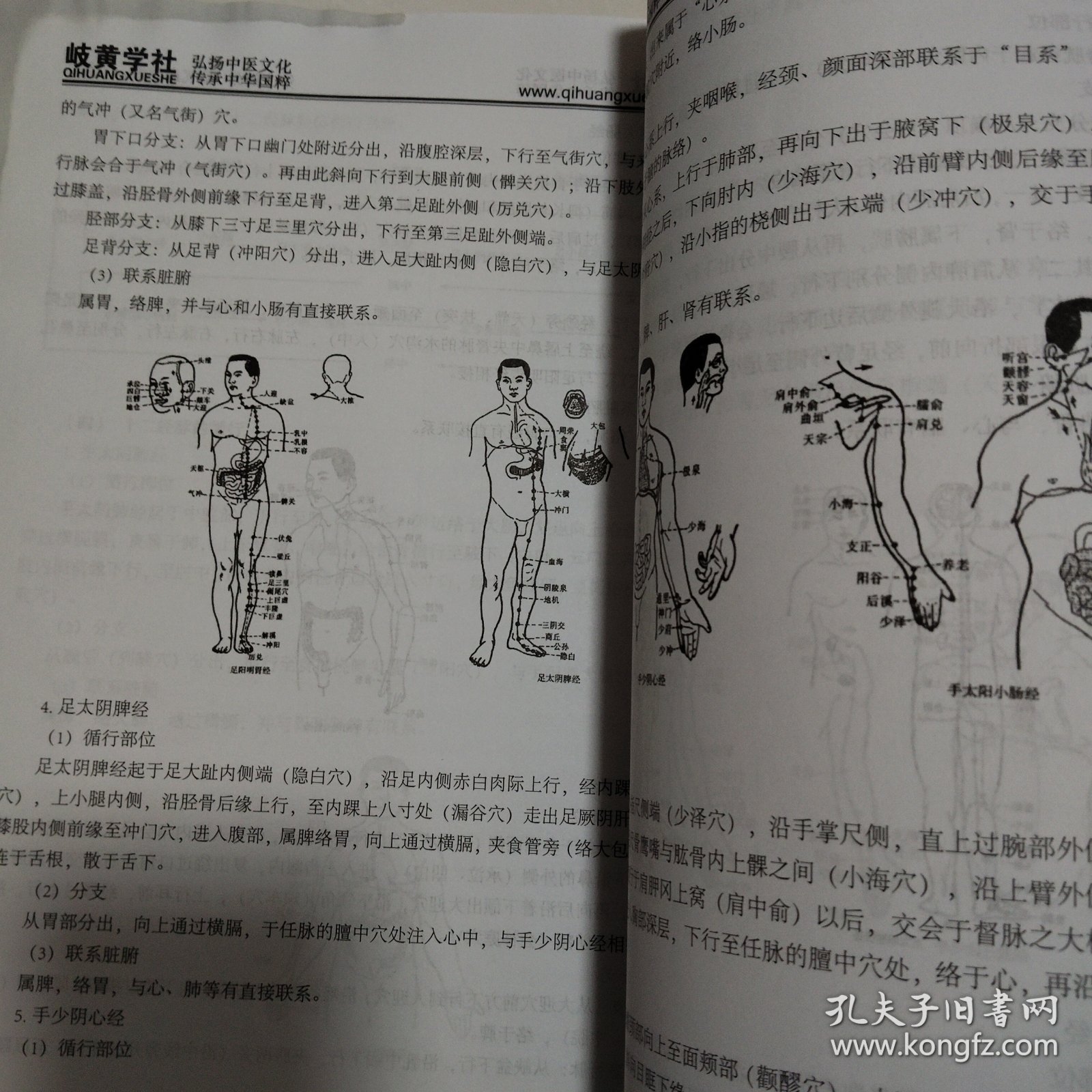 中医入门 中医基础理论