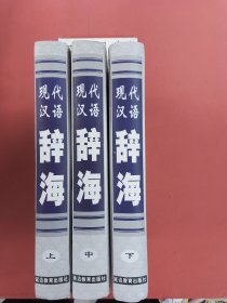 现代汉语辞海（上、中、下）共三卷4.3千克
