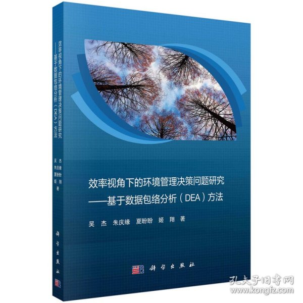 效率视角下的环境管理决策问题研究——基于数据包络分析（DEA）方法