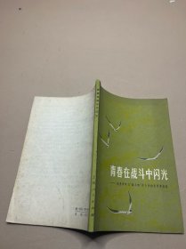 青春在战斗中闪光