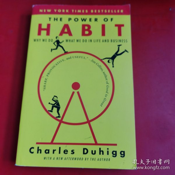 The Power of Habit: Why We Do What We Do in Life and Business习惯的力量 英文原版