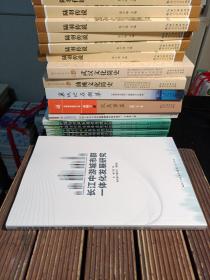 长江中游城市群一体化发展研究 主编 姚莉（没翻阅 ，包正版 现货无写划）