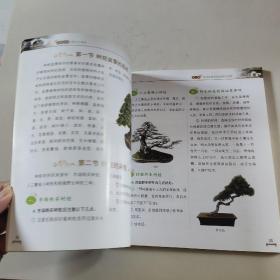 图解盆景制作与养护