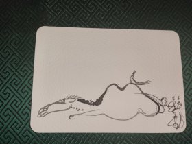游牧生活轨迹 骆驼鸟墨画 贺卡 明信片