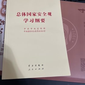 总体国家安全观学习纲要（32开）