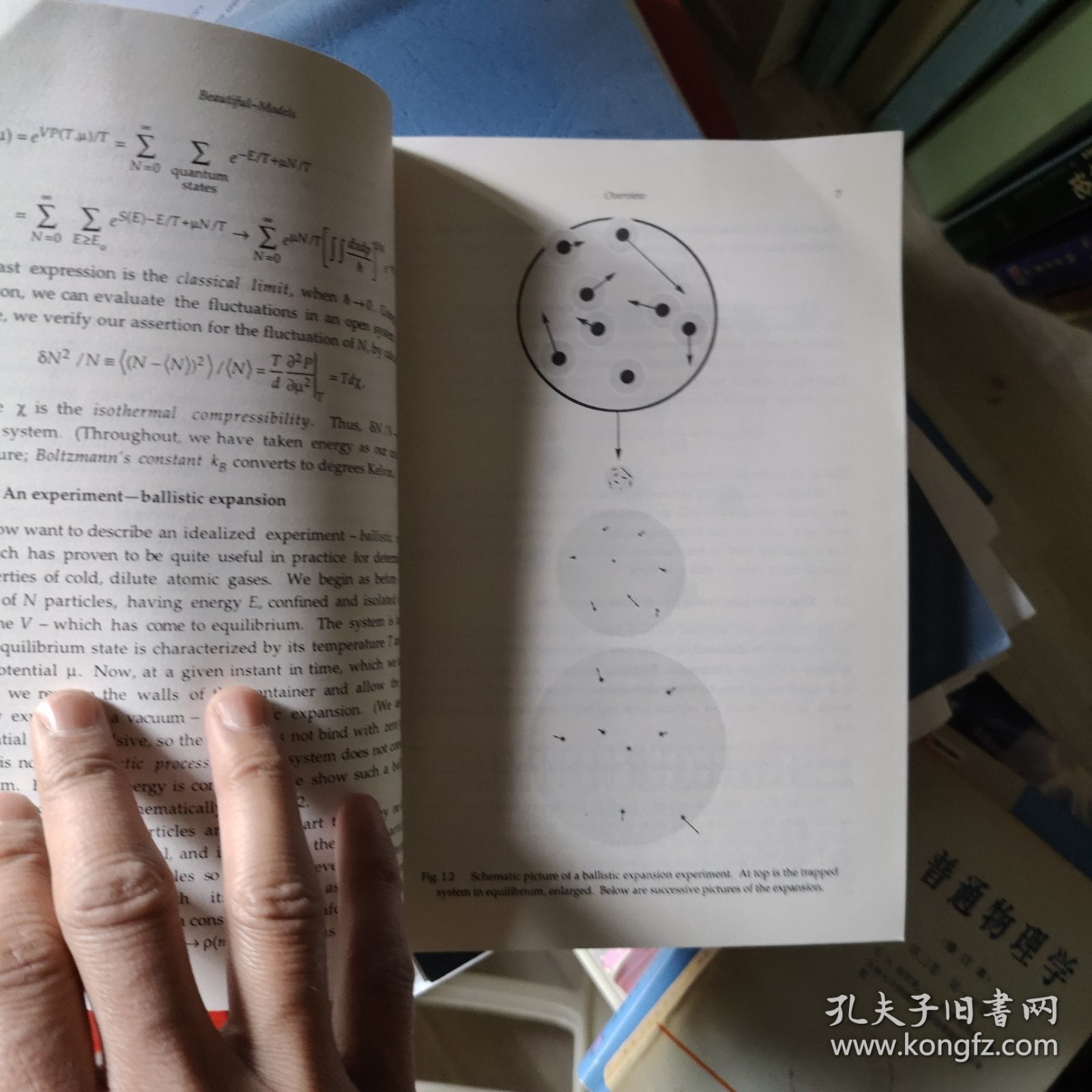 模型之美
