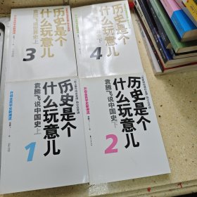 历史是个什么玩意儿全4册