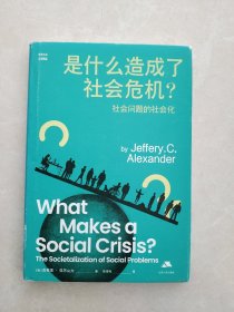 是什么造成了社会危机？——社会问题的社会化（思库文丛·汉译精品）