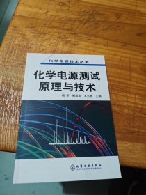 化学电源测试原理与技术——化学电源技术丛书