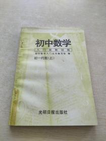 初中数学入门技能训练  初一代数上