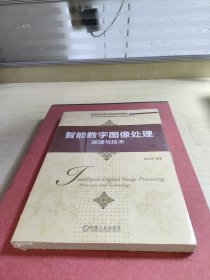 智能数字图像处理：原理与技术