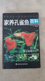 家养孔雀鱼百科