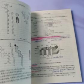 医学细胞生物学