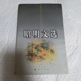 昭明文选（五）
