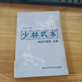 少林武术 擒拿与解脱 火棍