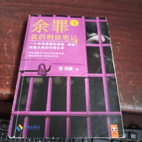 余罪4：我的刑侦笔记