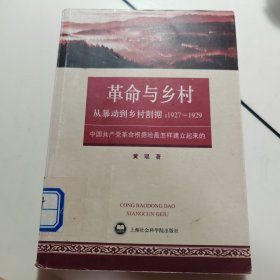 从暴动到乡村割据：1927~1929：中国共产党革命根据地是怎样建立起来的