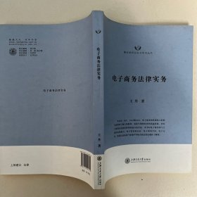 隆安律师实务与学术丛书：电子商务法律实务