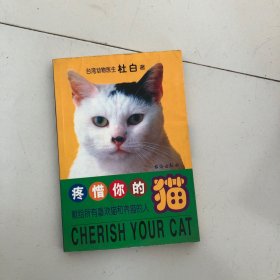 疼惜你的猫