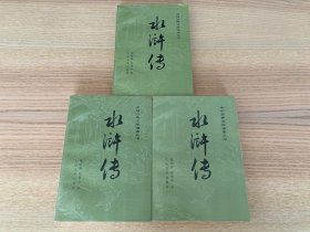 中国古典文学读本丛书：水浒传（上中下）