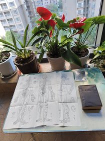 常用新医疗法手册（赠送十四经穴 、奇穴图；耳针穴位示意图）