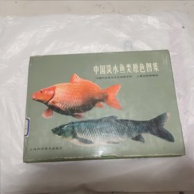 中国淡水鱼类原色图集（第一集）