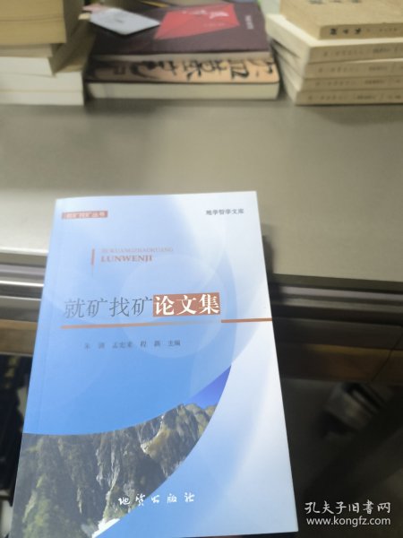 就矿找矿论文集